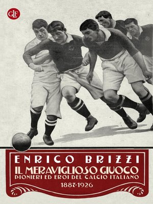 cover image of Il meraviglioso giuoco